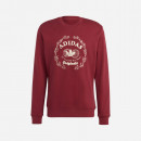 Bluza męska adidas Originals Graphic Archive Crew Sweatshirt IC5770