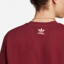 Bluza męska adidas Originals Graphic Archive Crew Sweatshirt IC5770