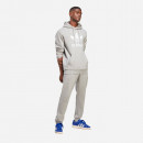 Bluza męska adidas Originals Adicolor Classics Trefoil Hoodie IA4884