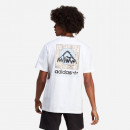 Koszulka męska adidas Originals Adventure Montain Back Tee IC2364