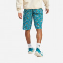 Szorty męskie adidas Originals Adventure AOP Short IC2288