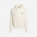 Bluza męska adidas Originals Stacked Trefoil Earth Hoodie IC5560