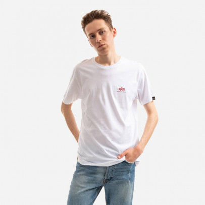 Koszulka męska Alpha Industries Backprint Tee 128507 178