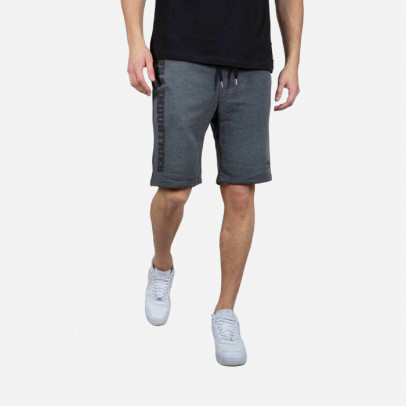 Szorty męskie Alpha Industries Big Letters Short 126344 315