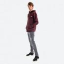 Bluza Alpha Industries Basic Hoody Small Logo 196318 21