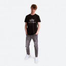 Koszulka męska Alpha Industries Basic T-Shirt Foll Print 100501FP 530