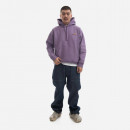 Bluza męska Carhartt WIP Hooded American Script Sweatshirt I028279 VIOLANDA