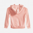 Bluza Champion Hooded Sweatshirt 404412 PS092