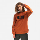 Bluza męska Fjallraven Logo Sweater F84142 243