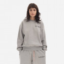 Bluza Aries Mini Problemo Sweatshirt AR20009 GREY MARL