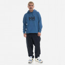 Bluza męska Helly Hansen Logo Hoodie 33977 636