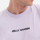 Koszulka męska Helly Hansen Core Graphic Tee 53936 697