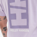 Koszulka męska Helly Hansen Core Graphic Tee 53936 697