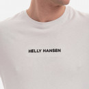 Koszulka męska Helly Hansen Core Graphic Tee 53936 823