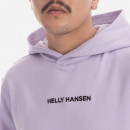 Bluza męska Helly Hansen Core Graphic Sweat Hoodie 53924 699