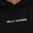 Bluza męska Helly Hansen Core Graphic Sweat Hoodie 53924 992