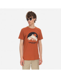 Koszulka męska Fjallraven Nature T-shirt F87053 243