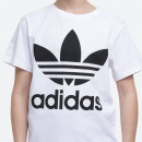 Koszulka adidas Originals Trefoil Tee DV2904