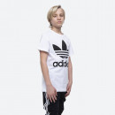 Koszulka adidas Originals Trefoil Tee DV2904