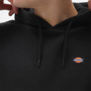 Bluza Dickies Oakport Hoodie DK0A4XCDBLK