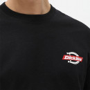 Koszulka Dickies SS Ruston Tee DK0A4XDCBLK