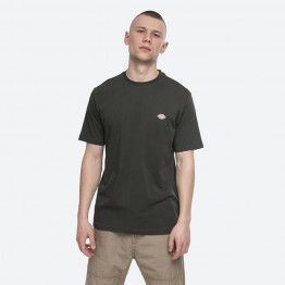 Koszulka Dickies SS Mapleton T-Shirt DK0A4XDBOGX