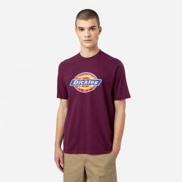 Koszulka męska Dickies Icon Logo Tee DK0A4XC9C95