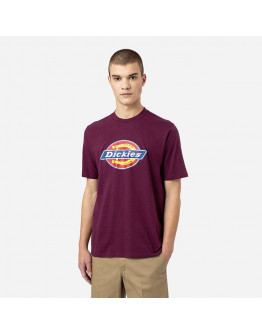 Koszulka męska Dickies Icon Logo Tee DK0A4XC9C95