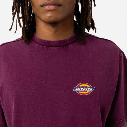 Koszulka męska Dickies Icon Washed Tee DK0A4Y1RC95