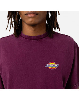 Koszulka męska Dickies Icon Washed Tee DK0A4Y1RC95