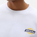 Koszulka męska Dickies SS Ruston Tee DK0A4XDCWHX