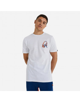 Koszulka męska Ellesse Boombox Tee SHN14900 WHITE