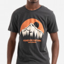 Koszulka męska Fjallraven Nature T-shirt M F87053 555