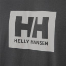 Koszulka męska Helly Hansen Box T-Shirt 53285 482