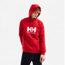 Bluza męska Helly Hansen Logo Hoodie 33977 163