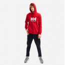 Bluza męska Helly Hansen Logo Hoodie 33977 163