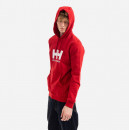 Bluza męska Helly Hansen Logo Hoodie 33977 163