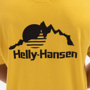 Koszulka męska Helly Hansen Yu Patch T-shirt 53391 340