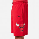 New Era Chicago Bulls Team Logo 13083852