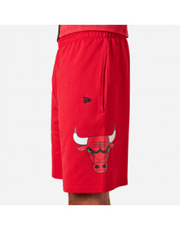 New Era Chicago Bulls Team Logo 13083852