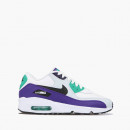 Buty damskie sneakersy Nike Air Max 90 Leather (GS) 833412 115