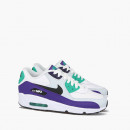 Buty damskie sneakersy Nike Air Max 90 Leather (GS) 833412 115