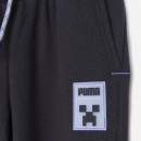 Puma x Minecraft Sweatpants TR 670364 01