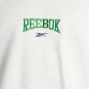 Bluza męska Reebok Classic Classics Varsity HZ9805