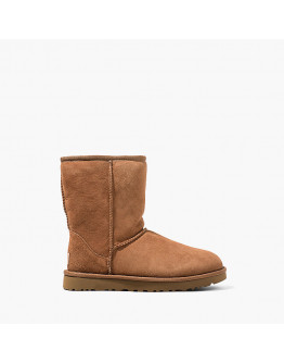 Buty damskie UGG Classic Short II 1016223 CHE