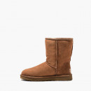 Buty damskie UGG Classic Short II 1016223 CHE