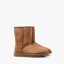 Buty damskie UGG Classic Short II 1016223 CHE