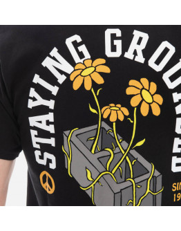 Koszulka męska Vans Staying Grounded SS Tee VN00003FBLK